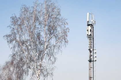 +40% к скорости: Tele2 улучшила интернет в районных центрах Новосибирской области