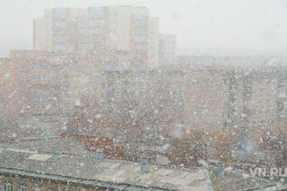 Погода в Новосибирске до 23 февраля: резкое потепление до 0 градусов