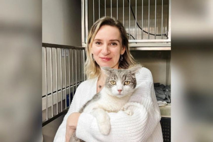 Осиротевший кот Митя с Линейной, 39 в Новосибирске выжил и нашел новый дом