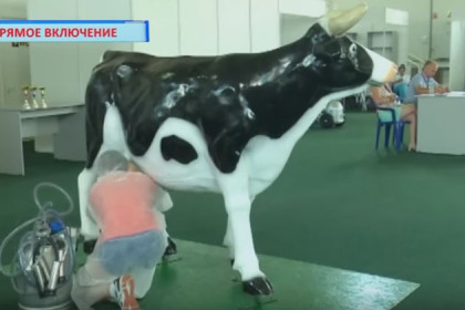 Бронзу за дойку механической коровы взяли новосибирцы в Курске