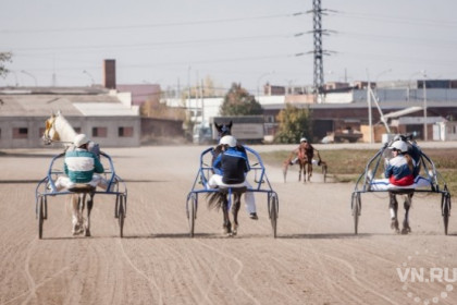Самые быстрые кони и искусные жокеи приедут в Новосибирск