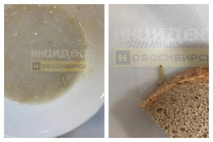 В Новосибирске школьник отомстил директору червяком в обеде