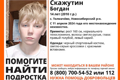 Подростка с глазами разного цвета из Толмачево ищут в Новосибирске