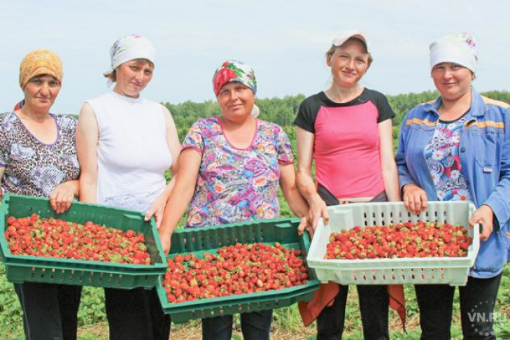 В деревне Первоновотроицк создали плодово-ягодный сад