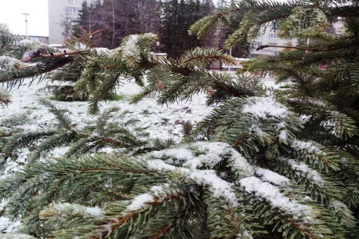 Экстренное предупреждение: снег и минус 6°С в Новосибирске