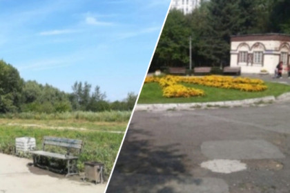 Чемской или парк Кирова: последний день голосования за объекты благоустройства идет в Новосибирске