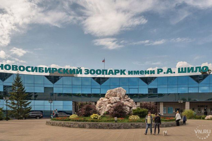 Бесплатный вход и новый фонтан: Новосибирск отмечает 70-летие зоопарка 