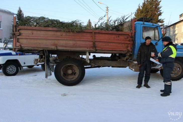 Контрафактные елки задержали полицейские в Черепаново