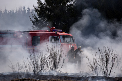 14 виновников лесных пожаров уже поймали в 2018 году
