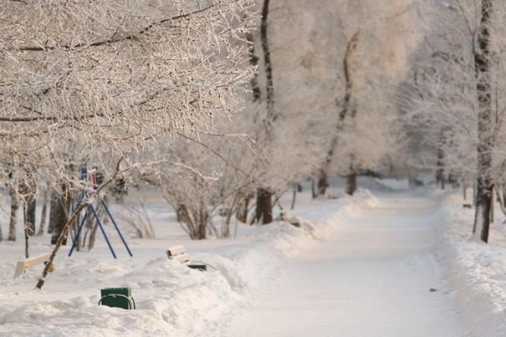 Погода в Новосибирске до 19 марта: похолодание до -23