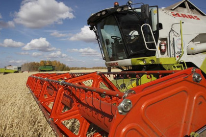 Миллион тонн пшеницы в Китай отправят новосибирские аграрии
