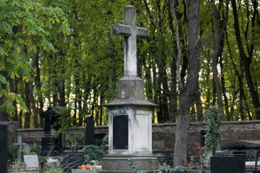 За упавшее на кладбище дерево получит полмиллиона жительница Новосибирска