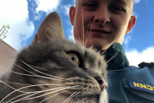 Пушистого котика спас герой МЧС в Новосибирске