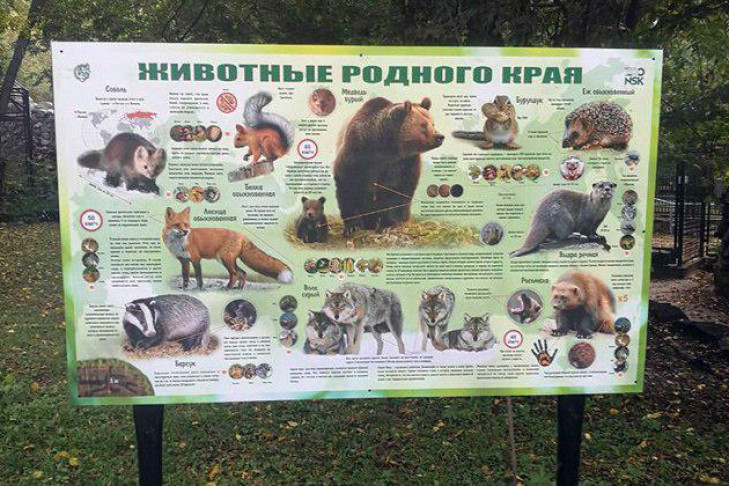 Новые вывески-игры появились в Новосибирском зоопарке