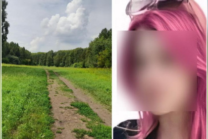Поиски девочки с розовыми волосами прекратили в Новосибирске