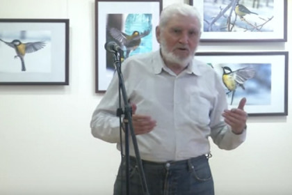Бердвотчер выставил фото птиц в Художественном музее