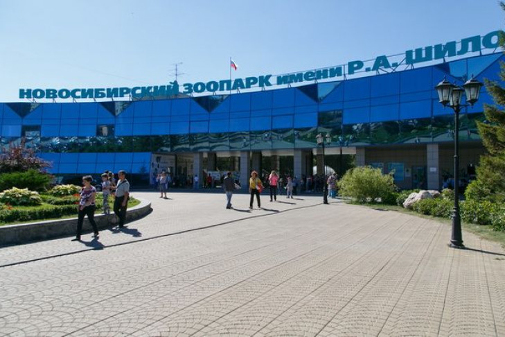 Новосибирский зоопарк повышает цены на билеты 
