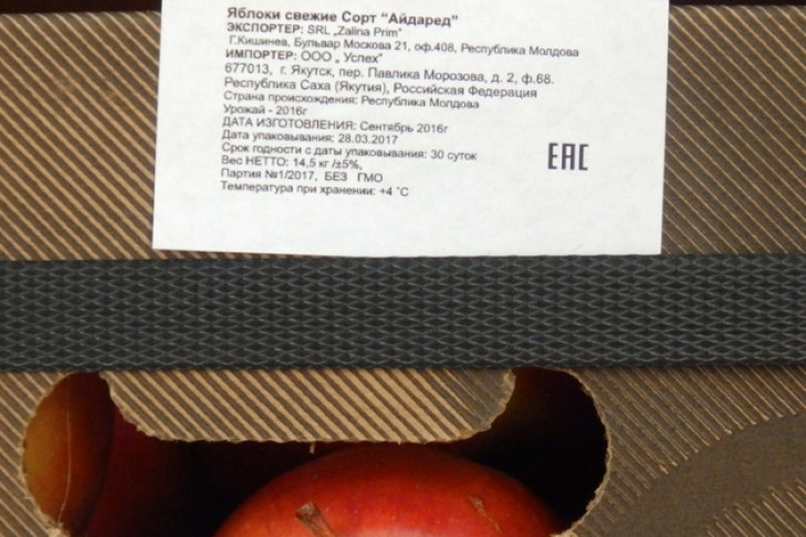 Первые молдавские яблоки поступили в магазины Новосибирска