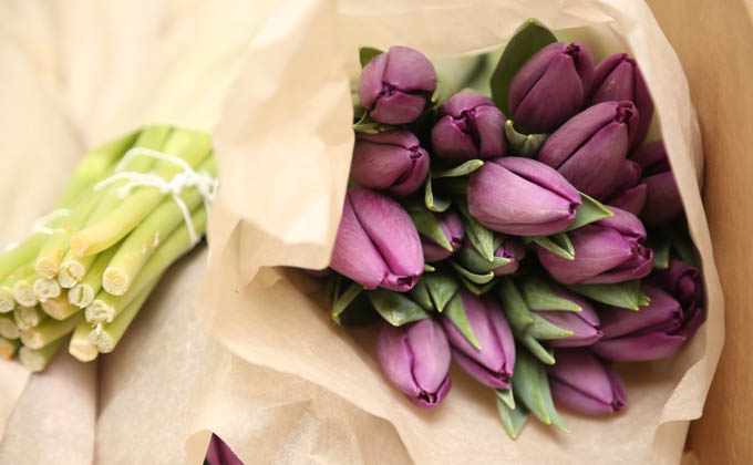 лиловые тюльпаны фото Алексея Цилера
