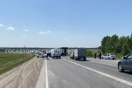 Фура сбила велосипедиста на трассе Новосибирск — Колывань