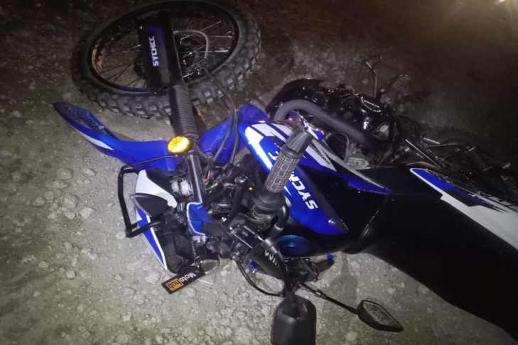 Всадник на лошади скрылся с места смертельного ДТП в Новосибирской области