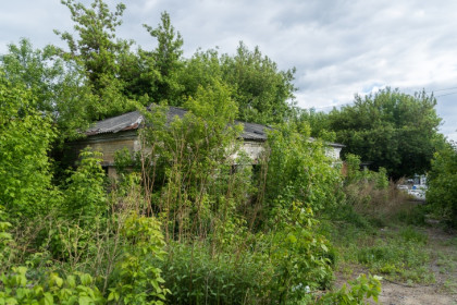 Механизм конфискации брошенных дач заработал с 1 сентября в Новосибирске