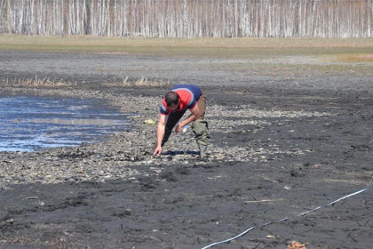 Озеро Клыгино с мертвой рыбой проверят на внешний фактор