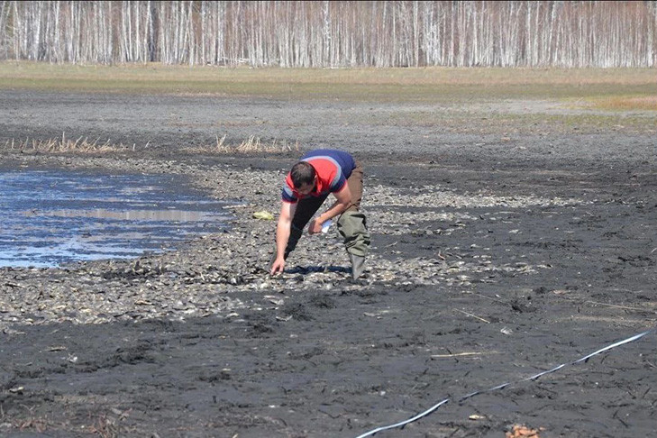 Озеро Клыгино с мертвой рыбой проверят на внешний фактор