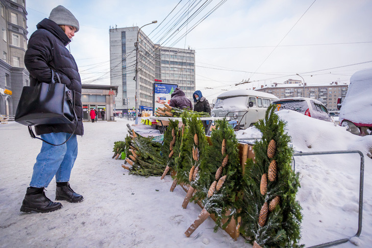 Морозы в -30 градусов придут в Новосибирск только к Новому году