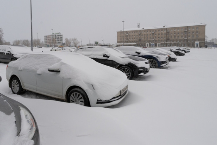 Названы самые популярные подержанные авто в Новосибирске