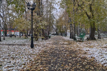 Потепление до +6 градусов прогнозируют в Новосибирске с 27 октября