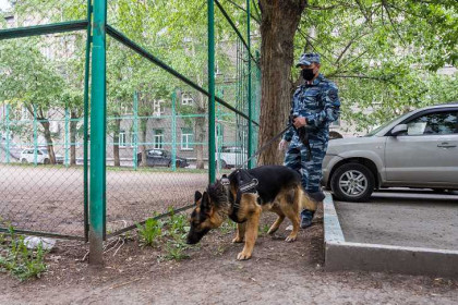 СКР обвинил школьника-душителя с Родников в покушении на убийство ребенка