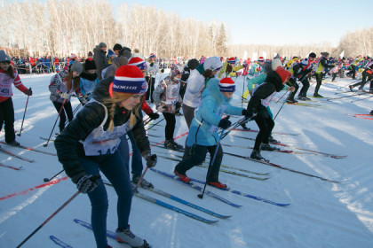 Как бесплатно добраться на «Лыжню России-2020» в Новосибирске