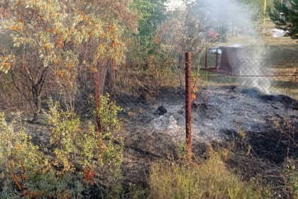 Житель Бердска с болгаркой устроил пожар в садовом обществе