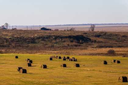 Уникальные для Евразии предметы обнаружили археологи в лесостепи под Новосибирском