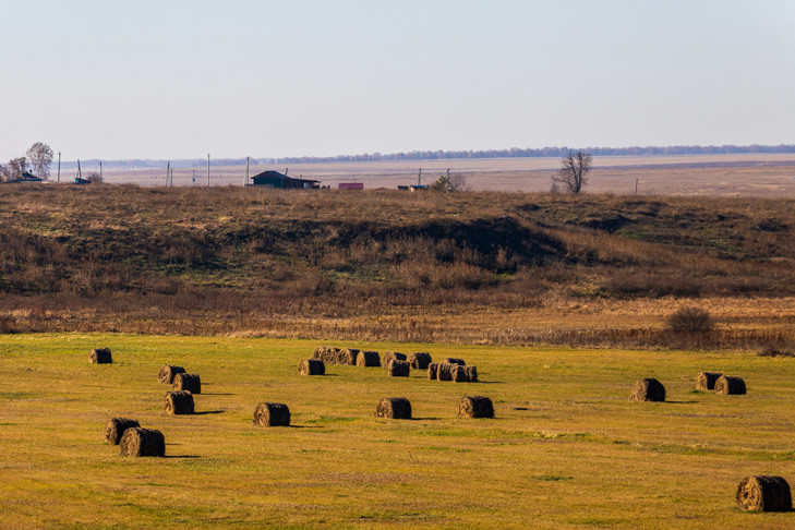 Уникальные для Евразии предметы обнаружили археологи в лесостепи под Новосибирском