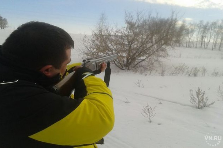 Стрельбу по птицам в кормушке открыл неизвестный в Новосибирске