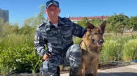 Служебный пёс помог задержать похитителя украшений в Новосибирске