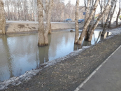 Бердск высыхает и продолжает очищаться от снега и грязи