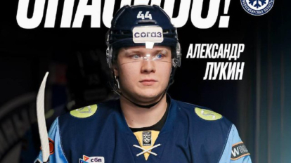 Бывший защитник ХК «Сибирь» устроил драку на матче с «Авангардом»