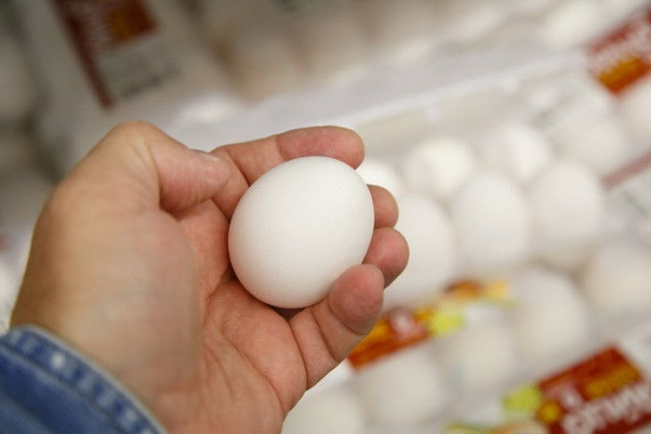Соглашение о стабилизации цен на яйца заключили в Новосибирской области