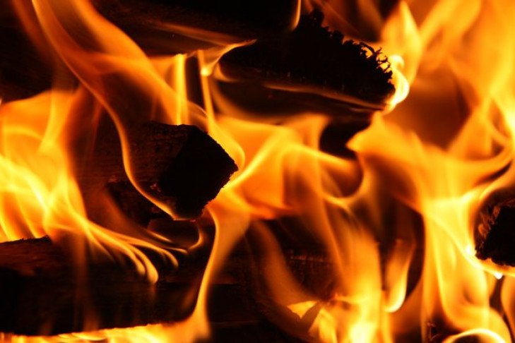 Трое детей сгорели на пожаре в Коченевском районе