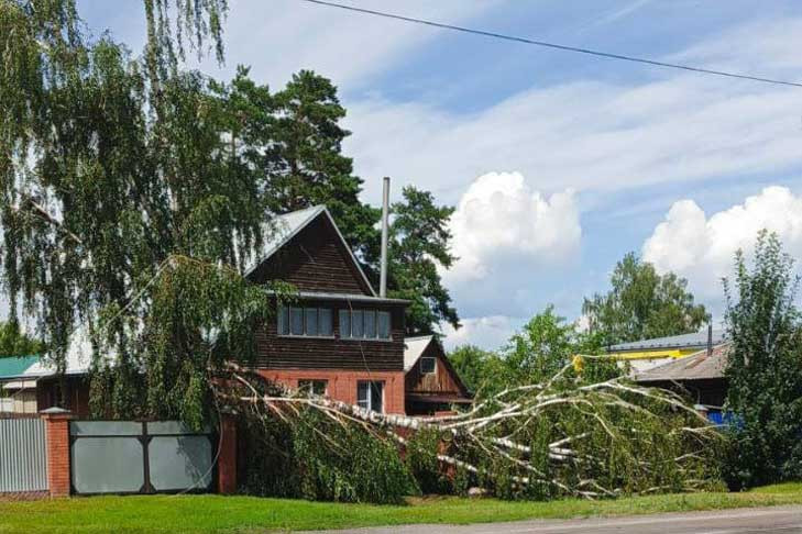 Ураган с порывами 35 м/с накрыл рабочий поселок в Новосибирской области