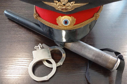 Семья Ботвиных избила полицейских резиновой дубинкой в Новосибирске