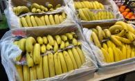 Бананы с запахом огурца будут ввозить в Россию с 1 марта