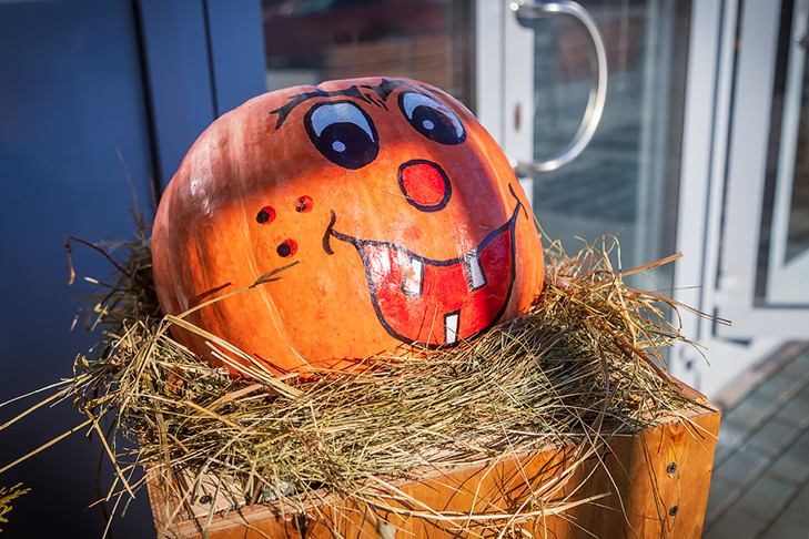 Новосибирский протоиерей Новопашин раскрыл истину о Велесовой ночи-2025