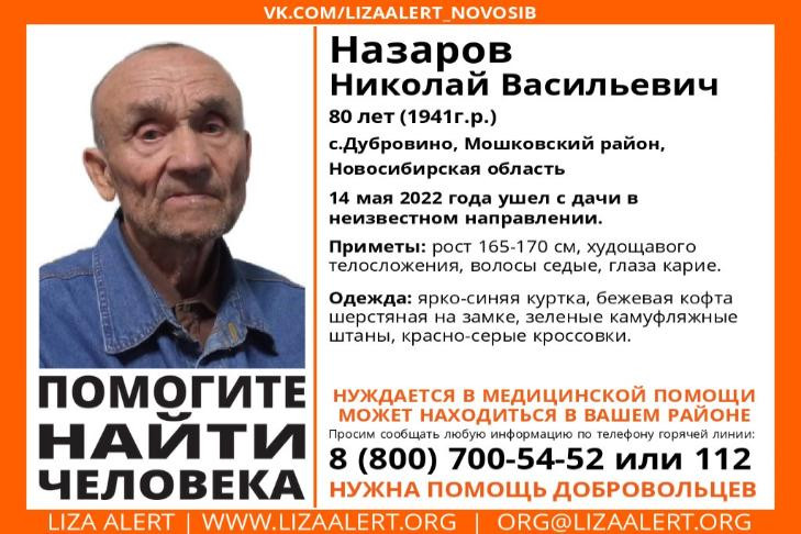 Пенсионер в камуфляже ушел с дачи под Новосибирском и исчез