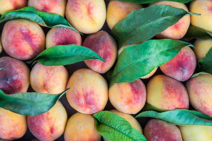 Эксперт Широкова раскрыла новосибирцам секрет выбора персиков