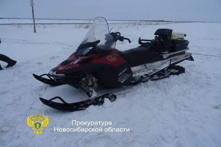 Срок за кабана получили охотники с квардрокоптером в Татарске