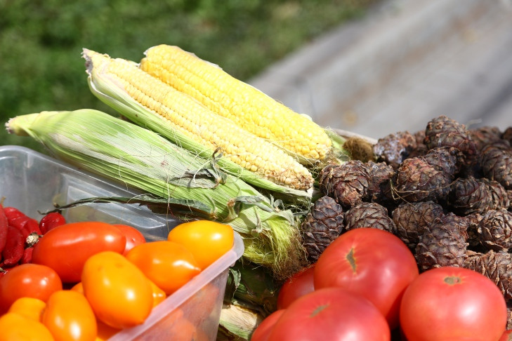 Бесплатные места для дачников предоставят на 45 «зеленых базарах» в Новосибирске